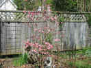 IMG_0832 (Small).jpg (96770 bytes)